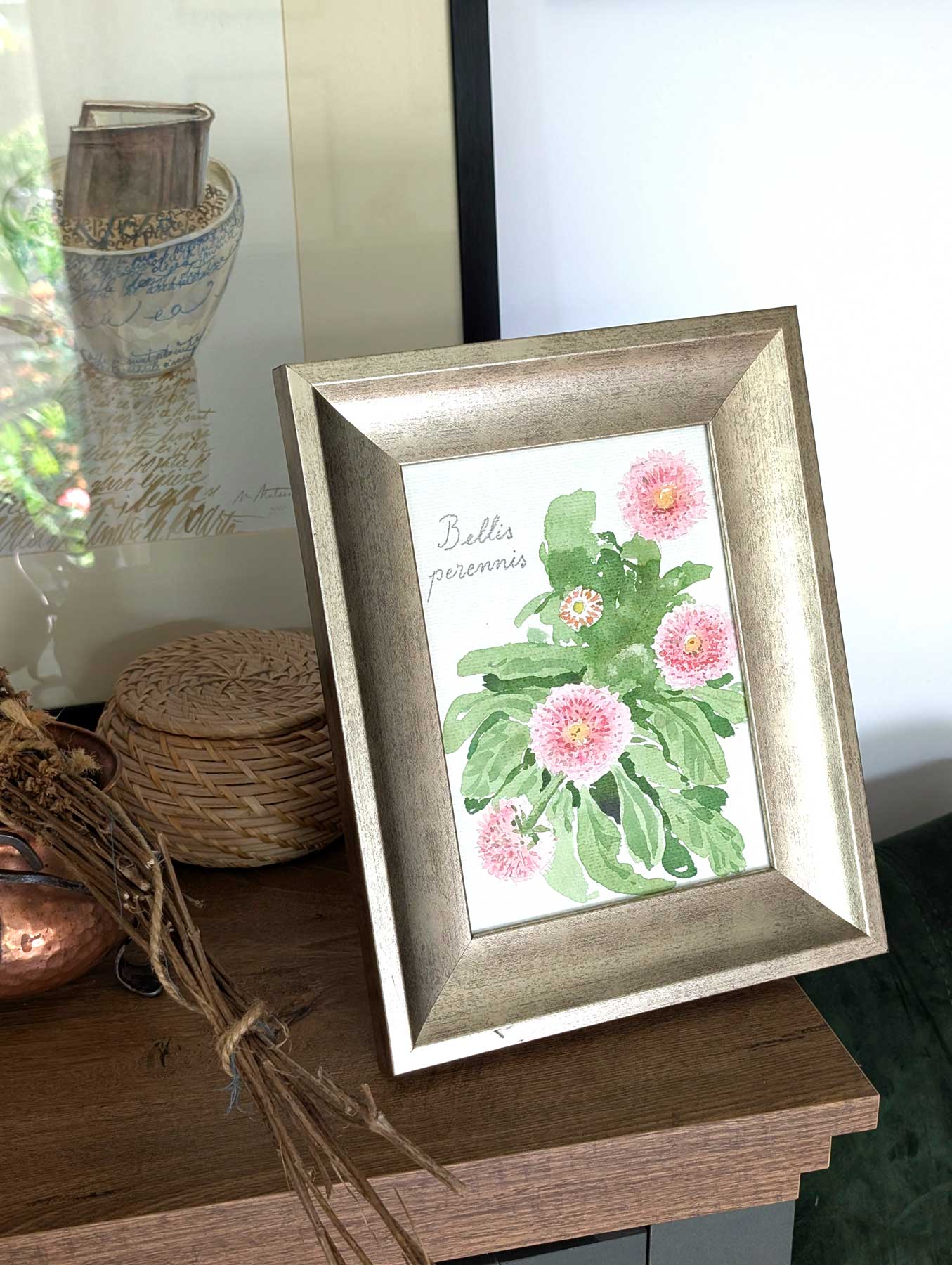 Bellis perennis - tablou original