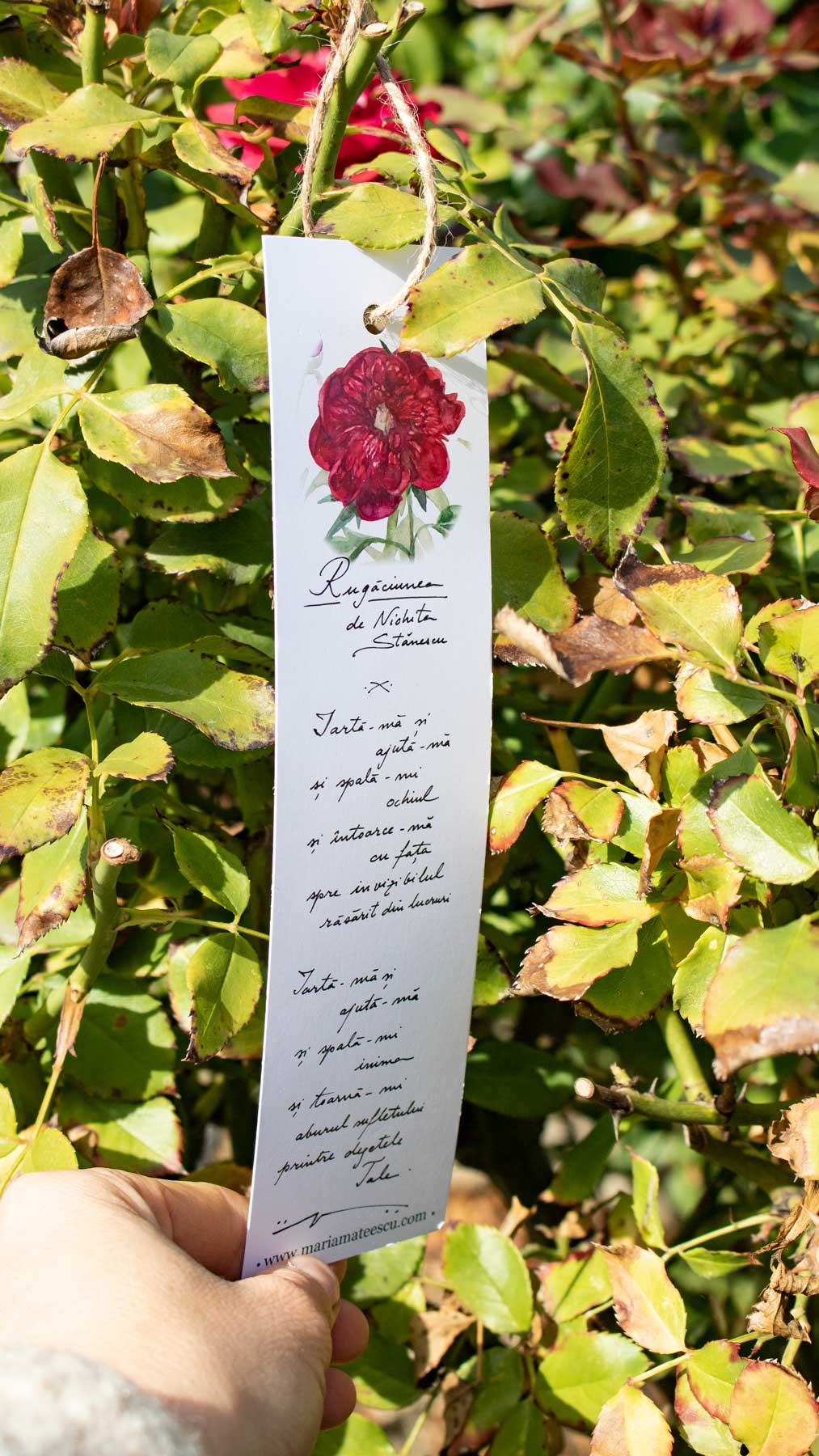 Semn de carte cu „Rugăciunea” lui Nichita Stănescu