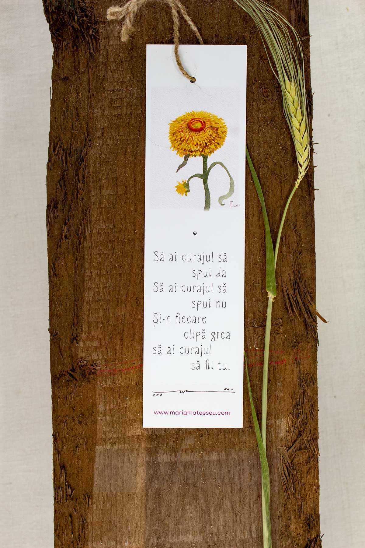 Semn de carte Nr. 5 - despre curaj